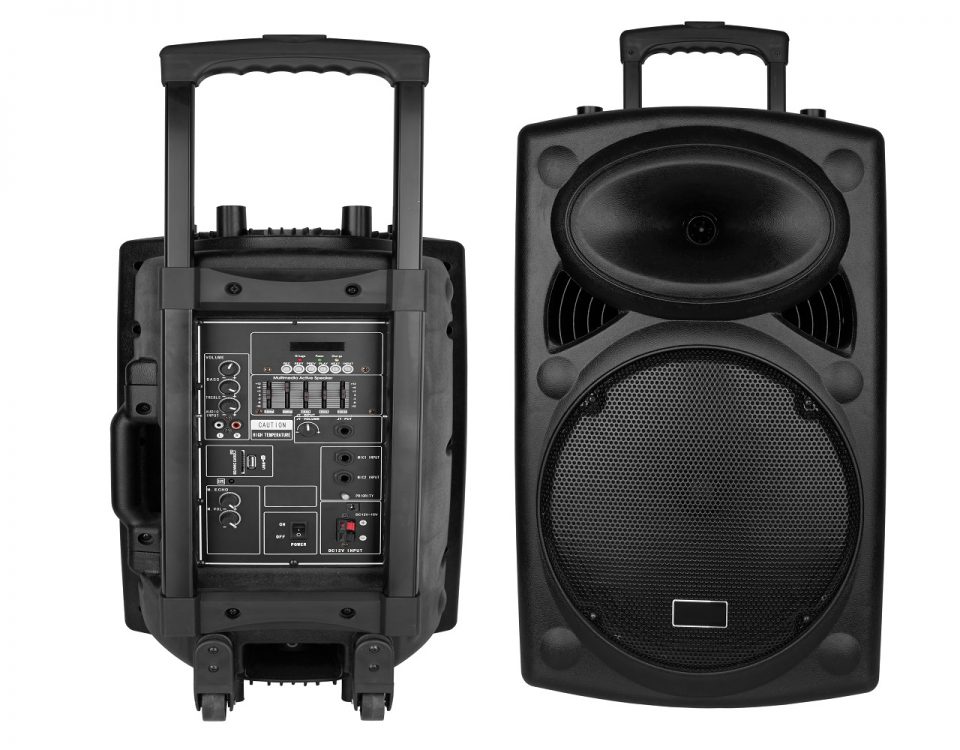 enceinte amplifiée